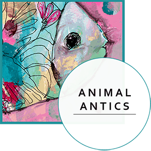 Animal-Antics-1